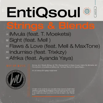 Strings & Blends by EntiQsoul