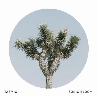 Sonic Bloom by TASMIC