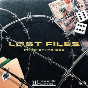 Lost Files by PA Dee