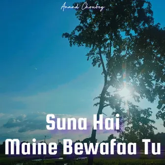 Suna Hai Maine Bewafaa Tu by Anand Choubey