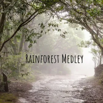 Rainforest Medley by High Altitude Samples