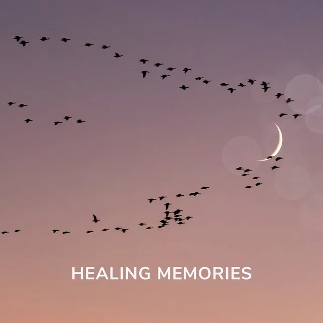 Healing Memories