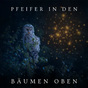 Pfeifer in den Bäumen oben by Regen Vögel