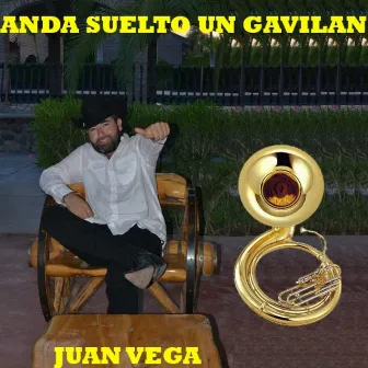 Anda Suelto un Gavilan by Juan Vega