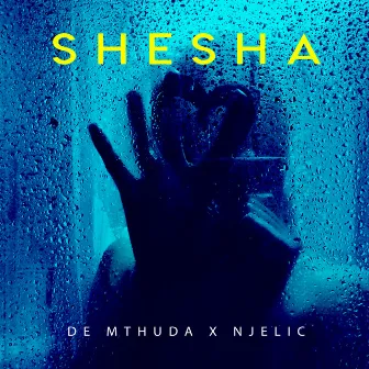 Shesha by Njelic