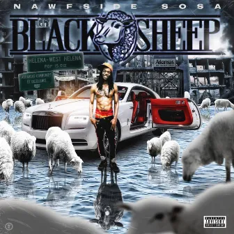 Black Sheep by Nawfside Sosa