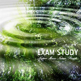 Exam Study Nature Sounds and Nature Music to Increase Brain Power, Natural Study Music for Relaxation, Concentration and Focus on Learning Natural White Noise and Nature Sound Effects by Exam Study Nature Music Nature Sounds