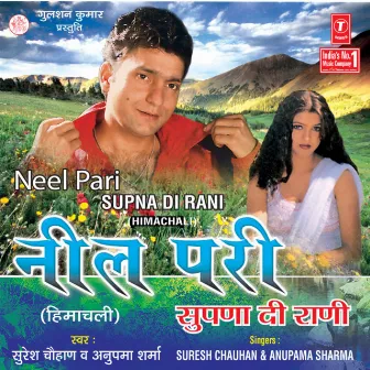 Neel Pari by Anupama Sharma