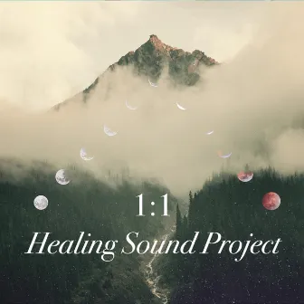 1:1 by Healing Sound Project