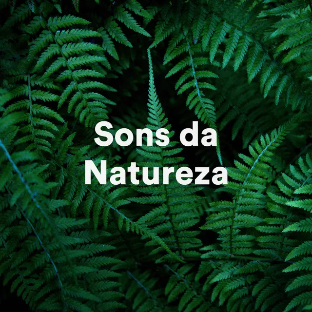 Sons da Natureza & Relaxamento