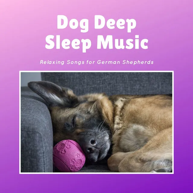 Dog Deep Sleep Music: Relaxing Songs for German Shepherds