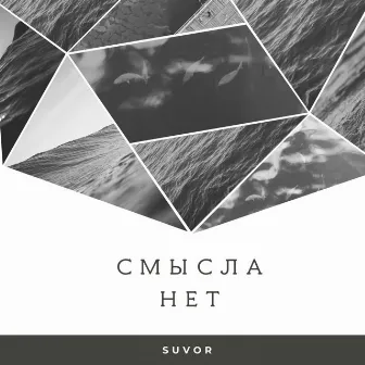 Смысла нет by SUVOR