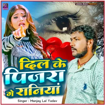 Dil Ke Pinjra Ge Raniya by Manjay Lal Yadav