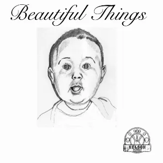 Beautiful Things by The Nelson Brothers