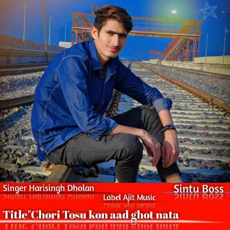 Chori Tosu Kon Aad Ghot Nata (Rajsthani) by Sintu Boss