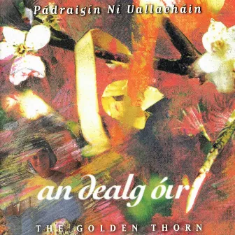 An Dealg Óir by Pádraigín Ní Uallacháin