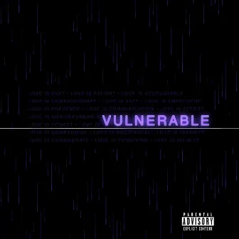 Vulnerable by Braye Nicole