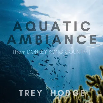 Aquatic Ambiance (From 