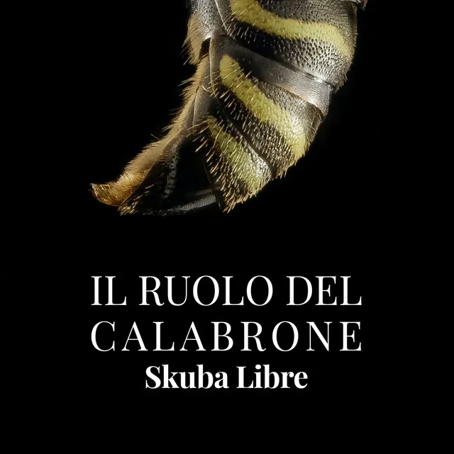 Il ruolo del calabrone