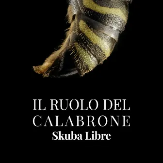 Il ruolo del calabrone by Skuba Libre