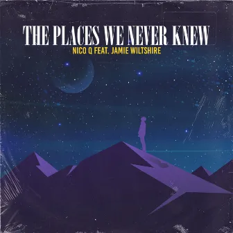 The Places We Never Knew by Nico Q