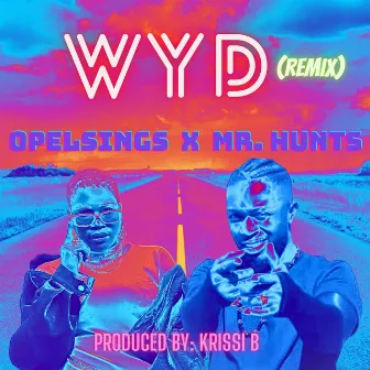 WYD (Remix) by Krissi B