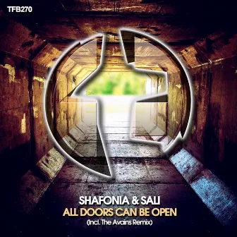 All Doors Can Be Open by Sali