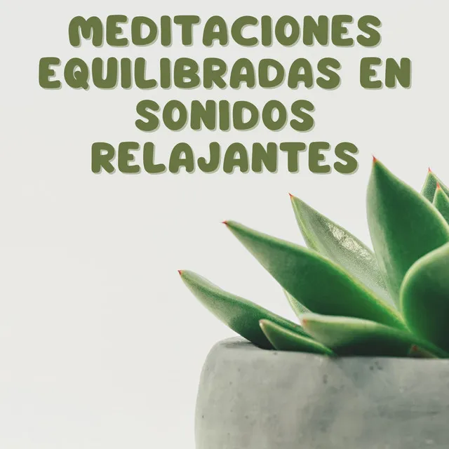 Meditaciones Equilibradas En Sonidos Relajantes