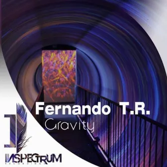 Gravity by Fernando T. R.