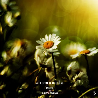 chamomile by BoNTCH SWiNGA