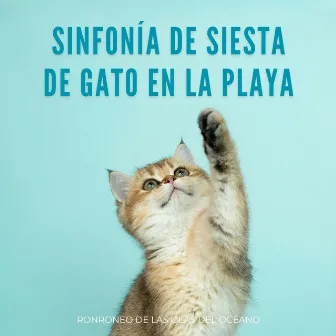 Sinfonía De Siesta De Gato En La Playa: Ronroneo De Las Olas Del Océano by Jukebox de música de gato