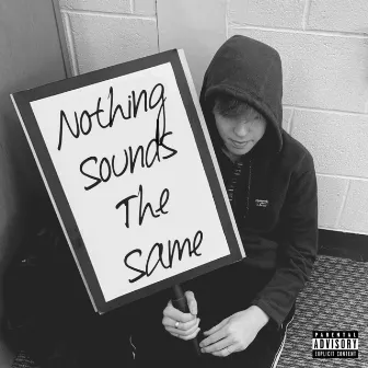 Nothing Sounds The Same by Bummer