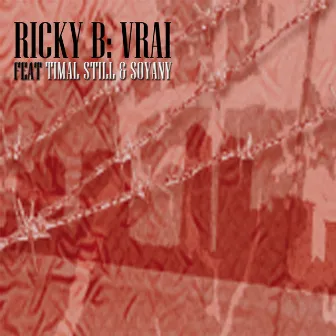 Vrai (feat. Timal Still, Soyany) by Ricky B