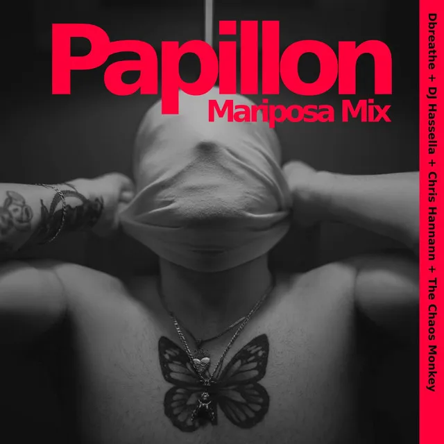 Papillon (Mariposa Mix)