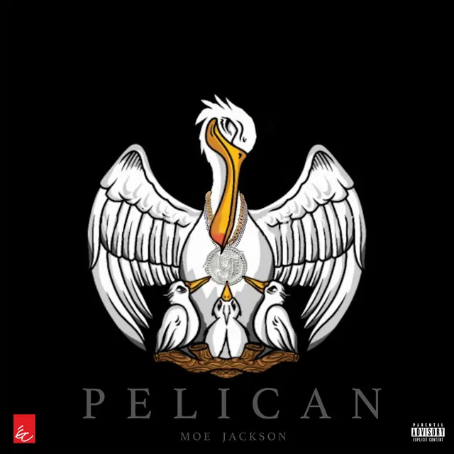 Pelican