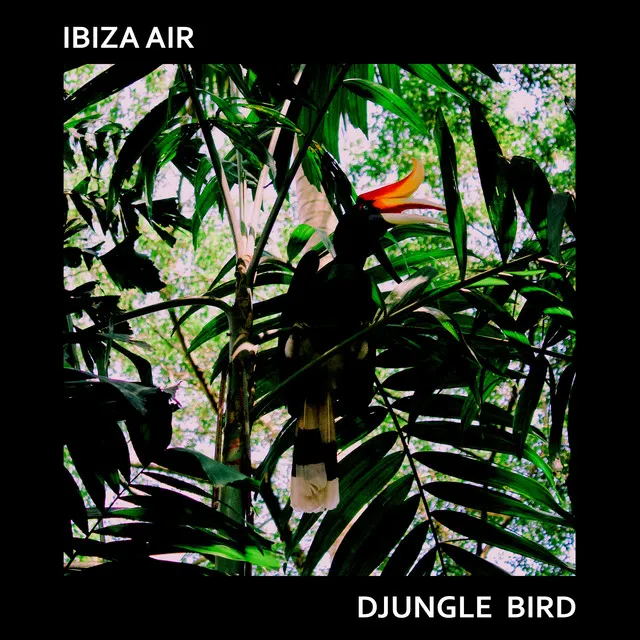 Djungle Bird