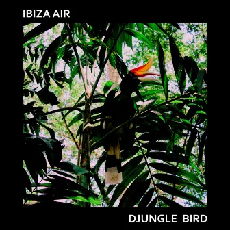 Djungle Bird by Ibiza Air