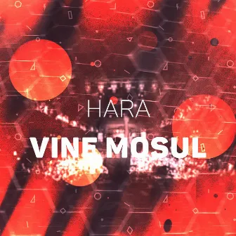 Vine Mosul by Hara