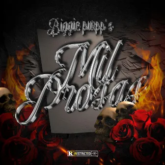 MIL PROSAS by Biggie Purpp