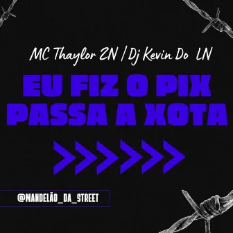 Eu Fiz o Pix Passa a Xota by MC Thaylor ZN