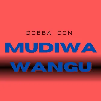 Mudiwa Wangu by Dobba Don