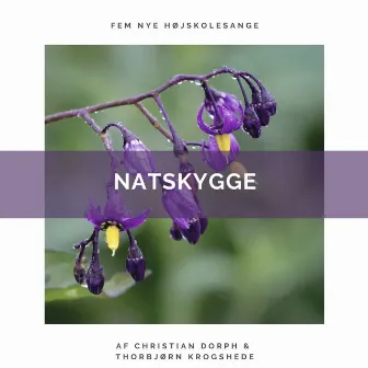 NATSKYGGE by Thorbjørn Krogshede