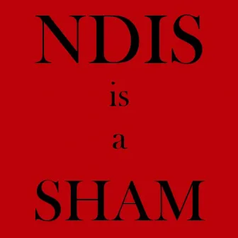 The NDIS Is a Sham by David Kaye