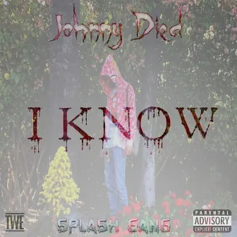 I Know by Johnny Died