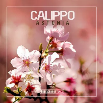 Astonia by Calippo