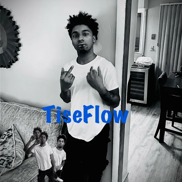 TiseFlow