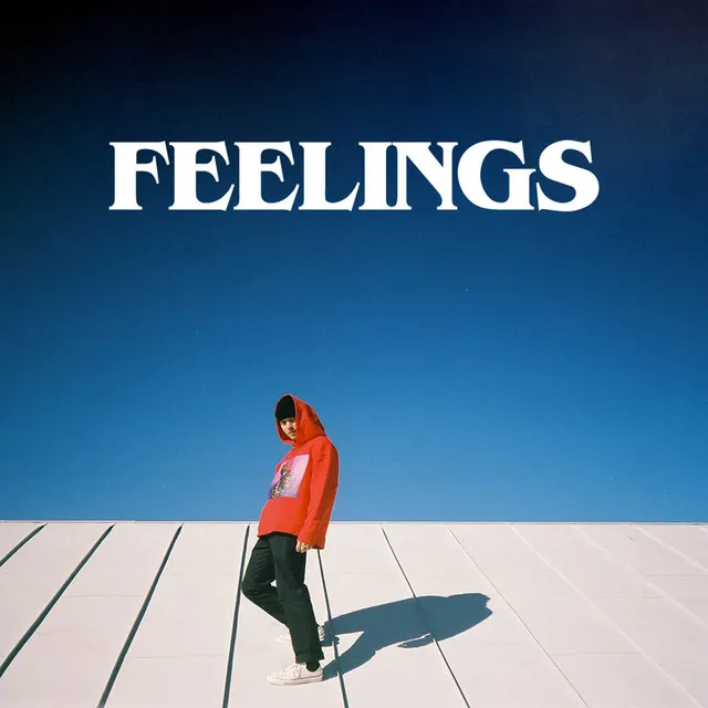 Feelings