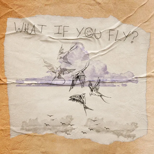 What If U Fly?