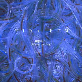 Bromas (Brain Version) by Fira Fem