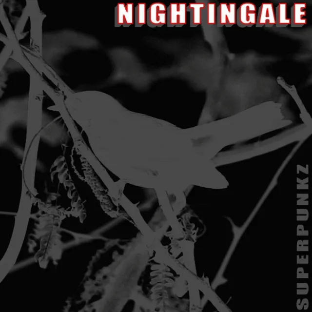 Nightingale